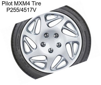 Pilot MXM4 Tire P255/4517V