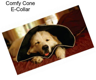 Comfy Cone E-Collar