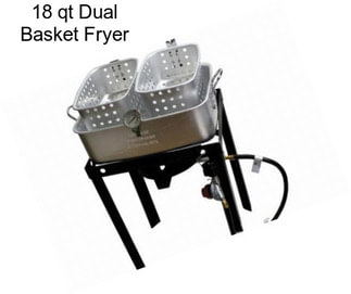 18 qt Dual Basket Fryer