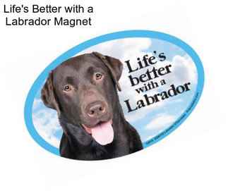 Life\'s Better with a Labrador Magnet