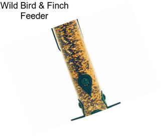 Wild Bird & Finch Feeder
