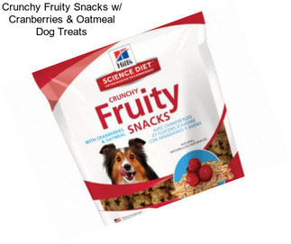 Crunchy Fruity Snacks w/ Cranberries & Oatmeal Dog Treats