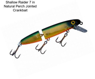 Shallow Raider 7 in Natural Perch Jointed Crankbait