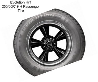 Evolution H/T 255/60R19 H Passenger Tire