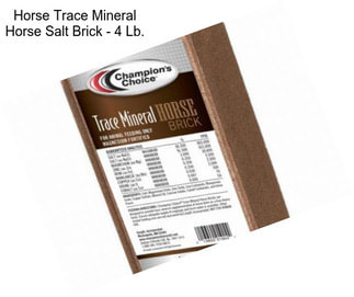 Horse Trace Mineral Horse Salt Brick - 4 Lb.