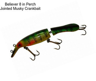 Believer 8 in Perch Jointed Musky Crankbait