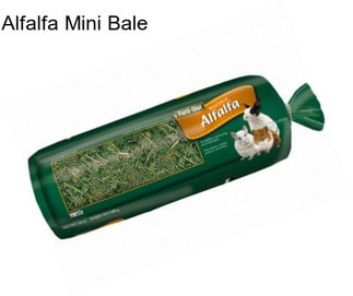 Alfalfa Mini Bale