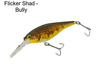 Flicker Shad - Bully