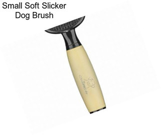 Small Soft Slicker Dog Brush