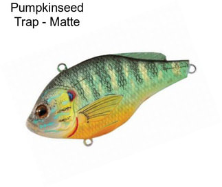 Pumpkinseed Trap - Matte