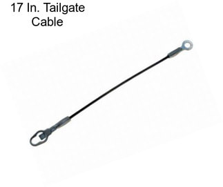 17 In. Tailgate Cable