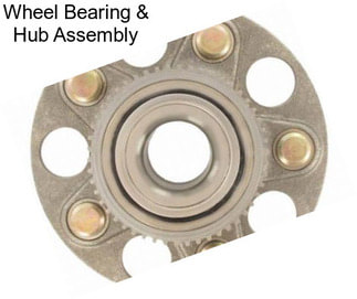 Wheel Bearing & Hub Assembly