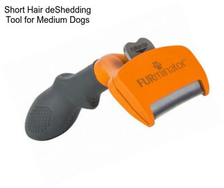 Short Hair deShedding Tool for Medium Dogs