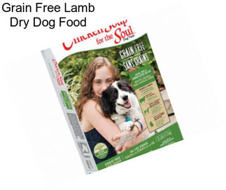 Grain Free Lamb Dry Dog Food