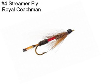 #4 Streamer Fly - Royal Coachman