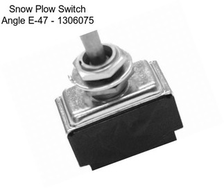 Snow Plow Switch Angle E-47 - 1306075