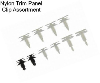 Nylon Trim Panel Clip Assortment