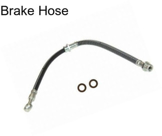 Brake Hose