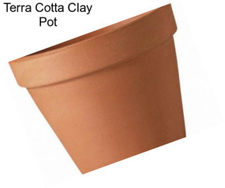 Terra Cotta Clay Pot