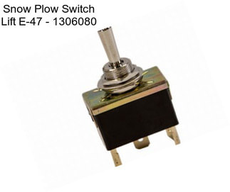 Snow Plow Switch Lift E-47 - 1306080