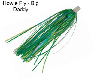 Howie Fly - Big Daddy