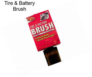 Tire & Battery Brush