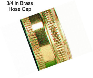 3/4 in Brass Hose Cap