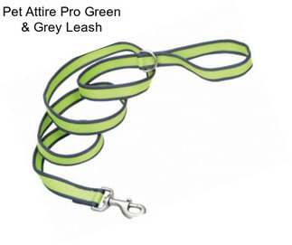 Pet Attire Pro Green & Grey Leash