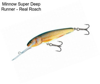 Minnow Super Deep Runner - Real Roach
