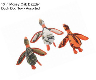 13 in Mossy Oak Dazzler Duck Dog Toy - Assorted