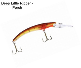 Deep Little Ripper - Perch