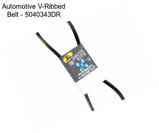 Automotive V-Ribbed Belt - 5040343DR