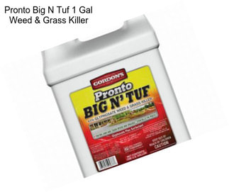 Pronto Big N Tuf 1 Gal Weed & Grass Killer