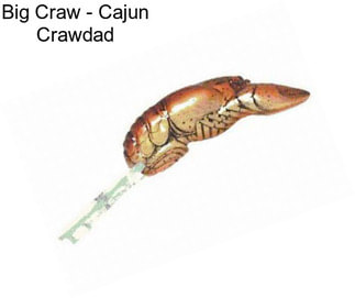 Big Craw - Cajun Crawdad