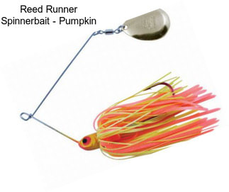 Reed Runner Spinnerbait - Pumpkin