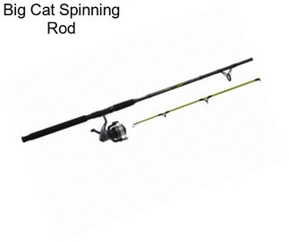 Big Cat Spinning Rod