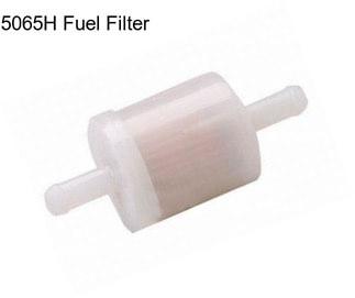 5065H Fuel Filter