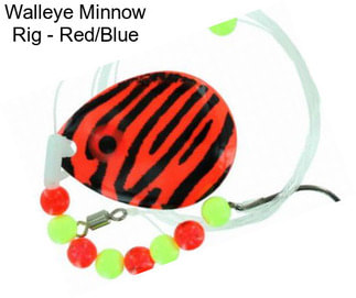 Walleye Minnow Rig - Red/Blue