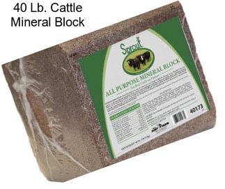 40 Lb. Cattle Mineral Block