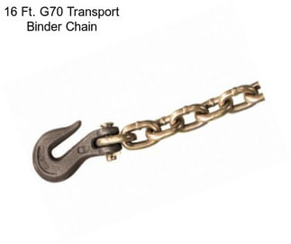 16 Ft. G70 Transport Binder Chain