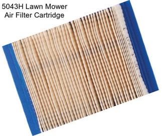 5043H Lawn Mower Air Filter Cartridge