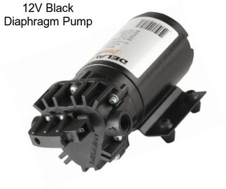 12V Black Diaphragm Pump