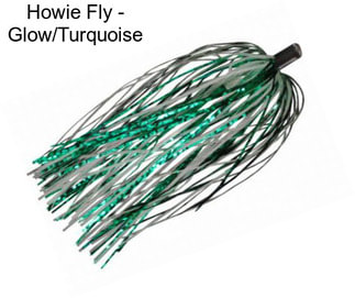 Howie Fly - Glow/Turquoise