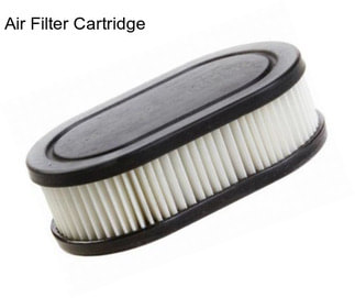 Air Filter Cartridge