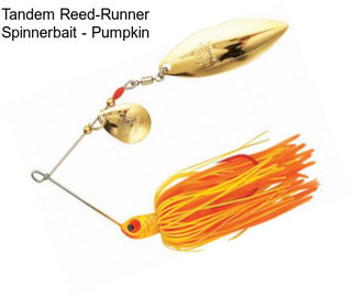 Tandem Reed-Runner Spinnerbait - Pumpkin