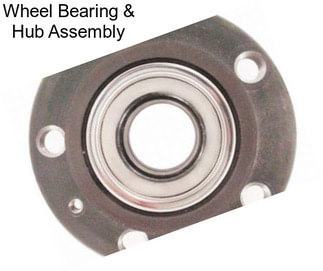 Wheel Bearing & Hub Assembly