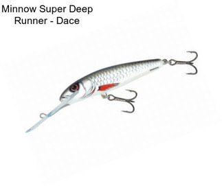 Minnow Super Deep Runner - Dace