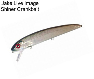 Jake Live Image Shiner Crankbait