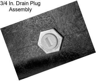 3/4 In. Drain Plug Assembly