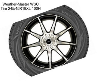 Weather-Master WSC Tire 245/45R18XL 100H